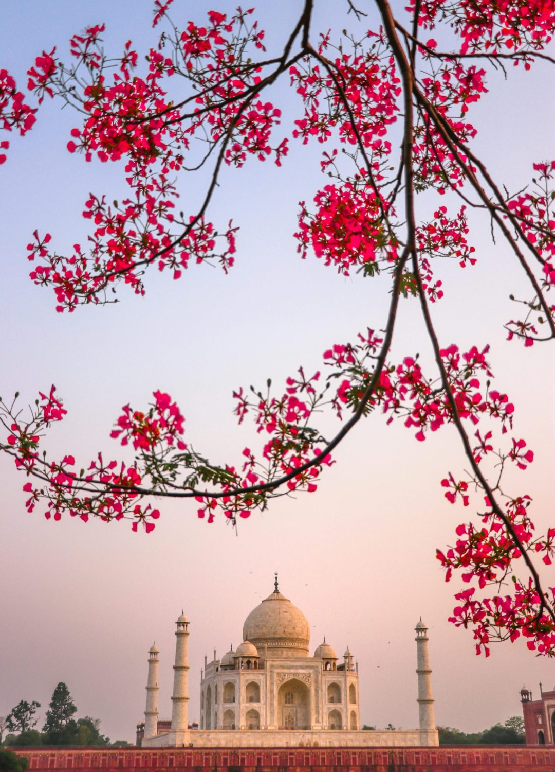 pexels-navnidh-5458393 pexels-navnidh-5458393
